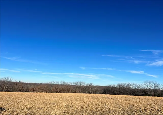 Photo 2 of Land for sale at 38639 Bcr 254, Sedgewickville, MO 63781 | MLS# 25005037 | Listing updated on 2025-01-30