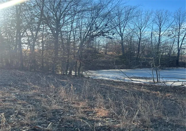 Photo 8 of Land for sale at 38639 Bcr 254, Sedgewickville, MO 63781 | MLS# 25005037 | Listing updated on 2025-01-30