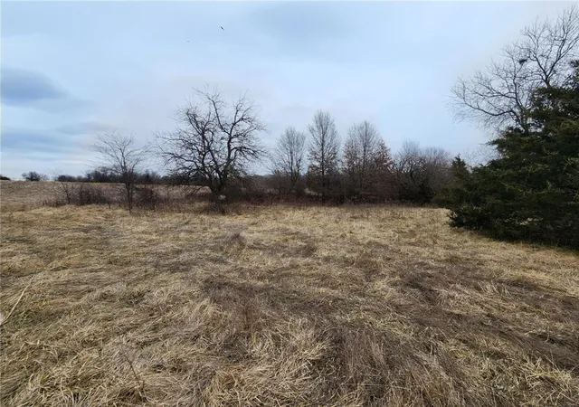 Photo 3 of Land for sale at 0 City Lake Rd, Wellsville, MO 63384 | MLS# 25005390 | Listing updated on 2025-03-10