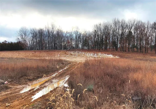 2nd image of 0 Timber Trace Dr (1816+/  Ac), Wentzville, MO 63385 | MLS# 25005631