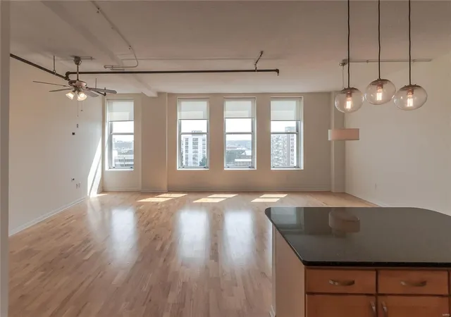 Listing Photo 4 - Condo for sale in building located at 1501 Locust St, St. Louis, MO 63103 - Unit #909