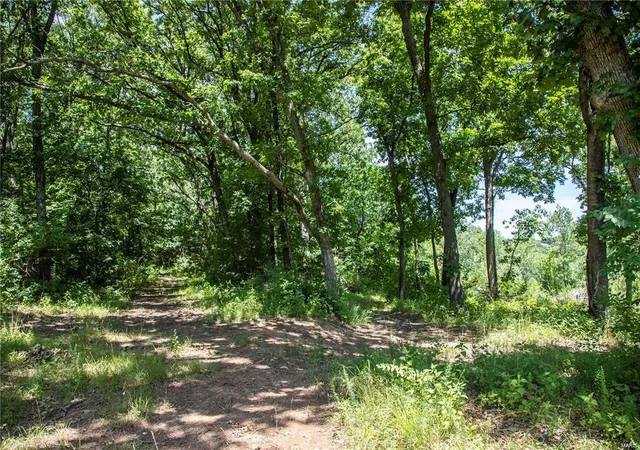 3rd image of 5001 Hilltop Ln, Imperial, MO 63010 | MLS# 25005722