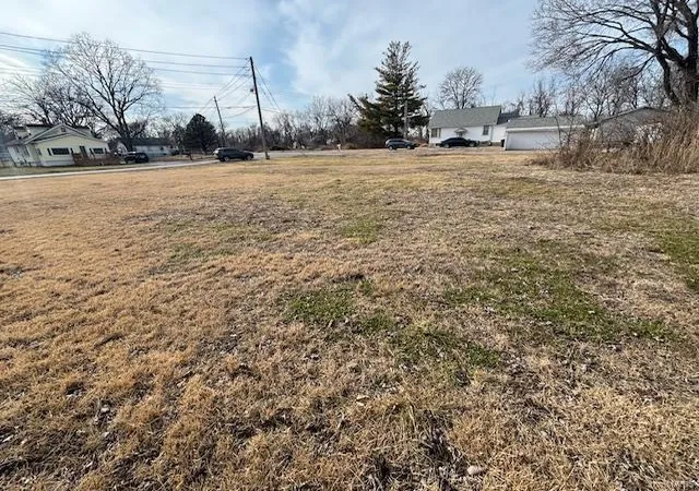 2nd image of 113 Edwards St, East Saint Louis, IL 62206 | MLS# 25005894