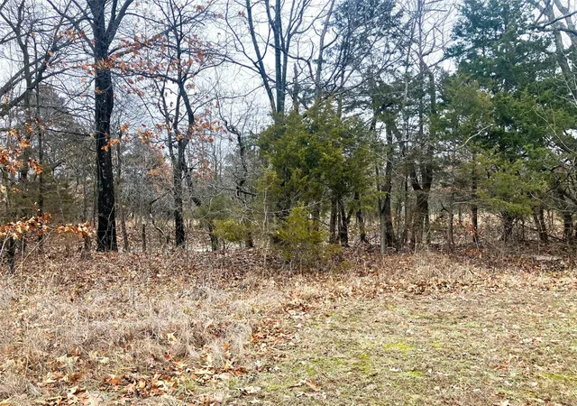 Photo 1 of Land for sale at 0 501 Ac Logan School Rd, New Florence, MO 63363 | MLS# 25006673 | Listing updated on 2025-02-08