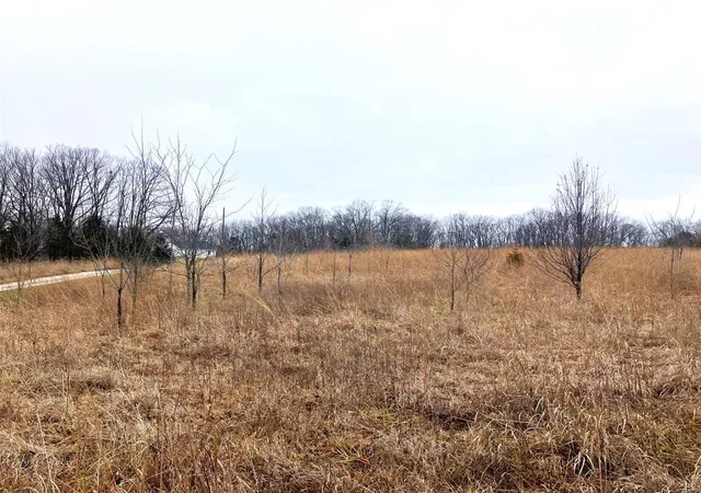 Photo 2 of Land for sale at 0 501 Ac Logan School Rd, New Florence, MO 63363 | MLS# 25006673 | Listing updated on 2025-02-08