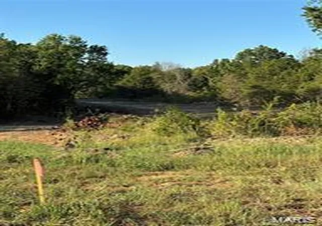 Photo 2 of Land for sale at 4 Route J, Monroe, MO 63456 | MLS# 25007631 | Listing updated on 2025-02-12