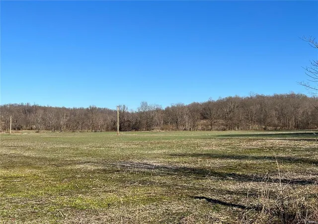 Photo 1 of Land for sale at 0 Hwy 51, Puxico, MO 63960 | MLS# 25007638 | Listing updated on 2025-02-12