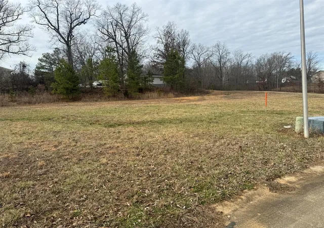 Photo 3 of Land for sale at 0 Karmen Ln, Poplar Bluff, MO 63901 | MLS# 25008008 | Listing updated on 2025-02-13