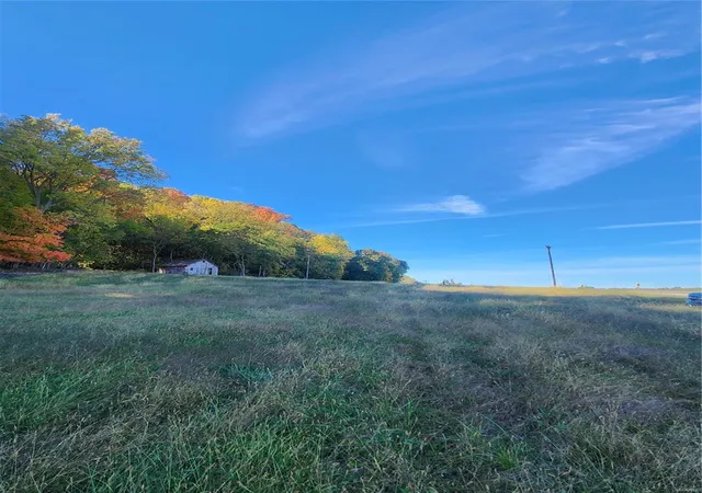 Photo 3 of Land for sale at 8951 Hwy 168, Palmyra, MO 63461 | MLS# 25008401 | Listing updated on 2025-02-15