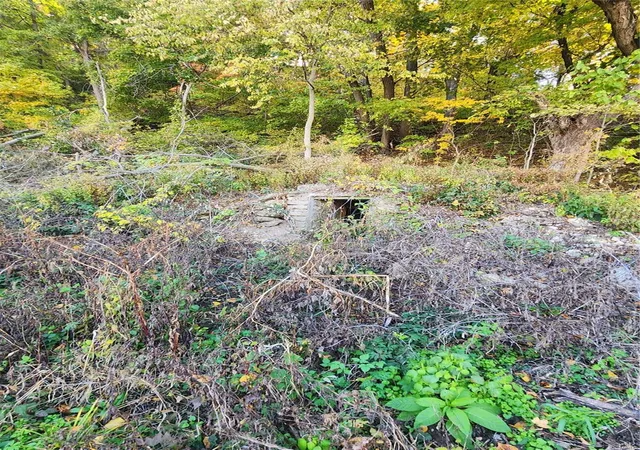 Photo 3 of Land for sale at 8951 Hwy 168, Palmyra, MO 63461 | MLS# 25008401 | Listing updated on 2025-02-15
