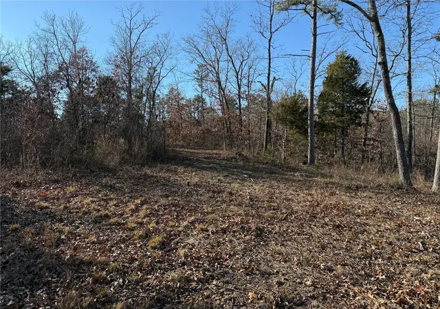 Photo 4 of House for sale at 2 A Off Bidwell Crk Rd, Fredericktown, MO 63645 | MLS# 25009221 | Listing updated on 2025-03-18