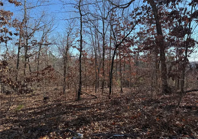 Photo 1 of House for sale at 2 B Off Bidwell Crk Rd, Fredericktown, MO 63645 | MLS# 25009224 | Listing updated on 2025-03-18