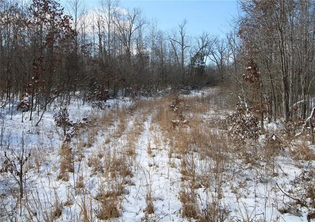 Photo 52 of Land for sale at 0 Bcr 710, Zalma, MO 63787 | MLS# 25009340 | Listing updated on 2025-02-20
