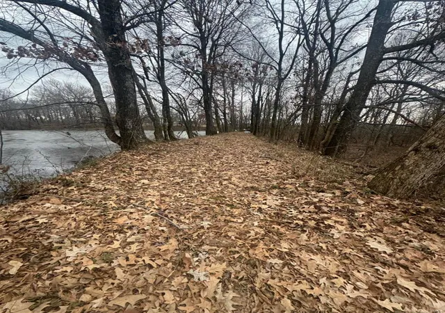 Photo 1 of Land for sale at 0 County Rd 229a, Campbell, MO 63933 | MLS# 25009401 | Listing updated on 2025-02-27