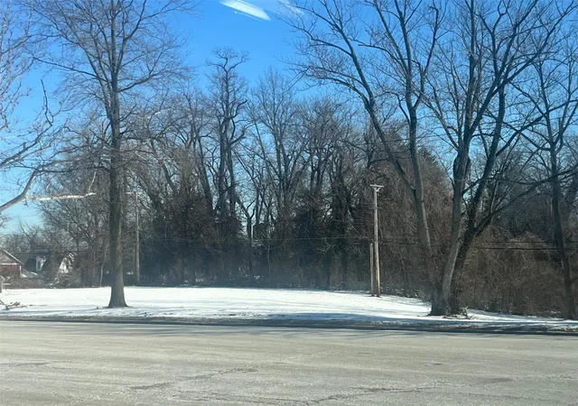 3rd image of 9811 W Main, Belleville, IL 62223 | MLS# 25009559