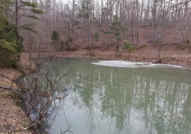 Photo 69 of Single family home for sale at 37801 State Hwy Hh, Patton, MO 63662 | MLS# 25009852 | Listing updated on 2025-03-17
