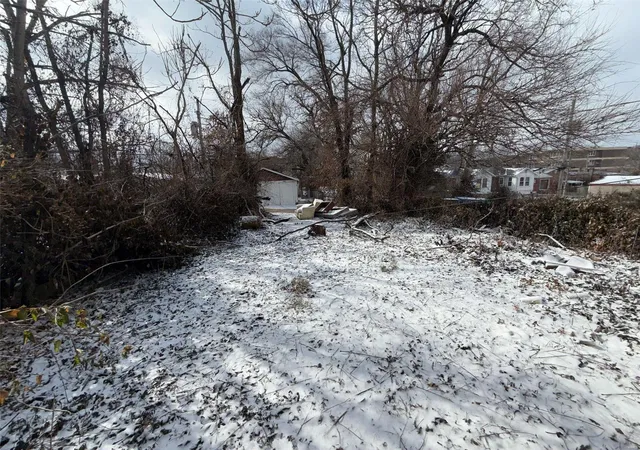 4th image of 4612 Ashland Ave, Saint Louis, MO 63115 | MLS# 25010082