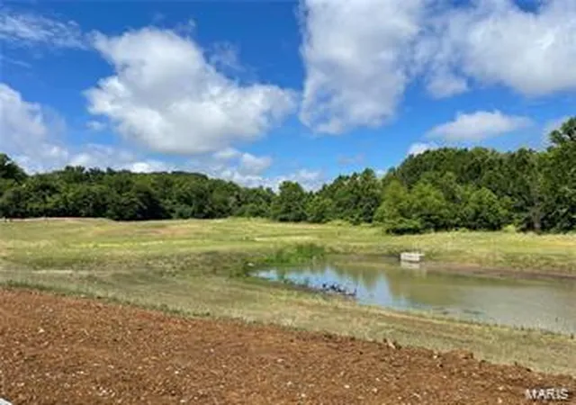 5th image of 0 Lot 10 Wilmer Meadow Dr, Wentzville, MO 63385 | MLS# 25010437