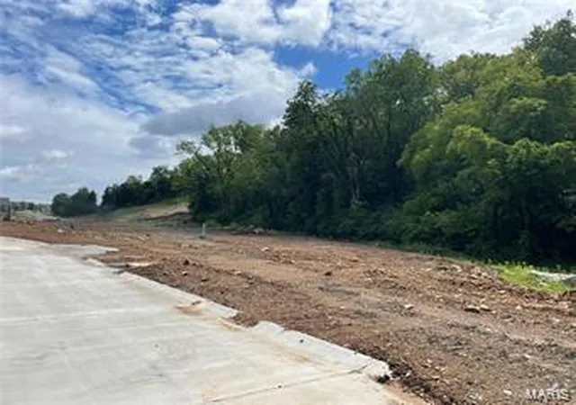 Photo 4 of Land for sale at 0 Lot 11 Wilmer Meadow Dr, Wentzville, MO 63385 | MLS# 25010438 | Listing updated on 2025-02-27