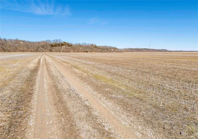 Photo 19 of Land for sale at 0 County Road 473, Mokane, MO 65059 | MLS# 25011659 | Listing updated on 2025-02-27