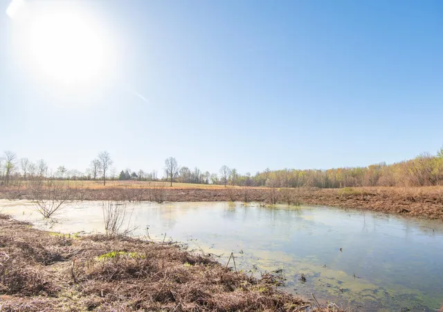 Photo 1 of Land for sale at 7567 County Road 639, Dexter, MO 63841 | MLS# 25012042 | Listing updated on 2025-03-18