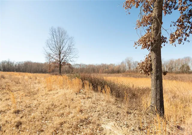 Photo 23 of Land for sale at 7567 County Road 639, Dexter, MO 63841 | MLS# 25012042 | Listing updated on 2025-03-18