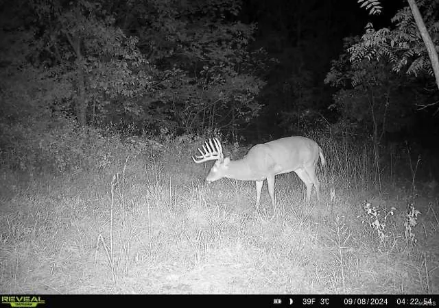 Photo 18 of Land for sale at 0 Osage Dr, New London, MO 63459 | MLS# 25012238 | Listing updated on 2025-03-02