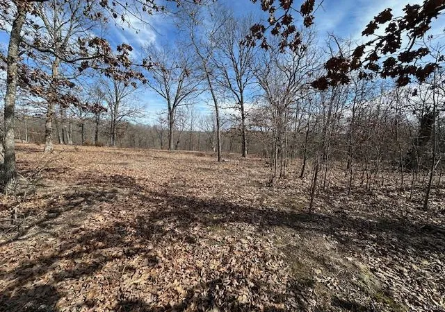 Photo 28 of Single family home for sale at 776 Cyrus Dr, Macks Creek, MO 65786 | MLS# 25012429 | Listing updated on 2025-03-06