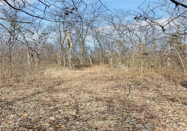 Photo 28 of Land for sale at 0 419 Acres, County Rd 744, Mexico, MO 65264 | MLS# 25012691 | Listing updated on 2025-03-07