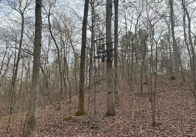 Photo 1 of Land for sale at 1 Private Rd 9516, Fredericktown, MO 63645 | MLS# 25013184 | Listing updated on 2025-03-16