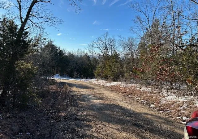 Photo 2 of Land for sale at 1 Private Rd 9516, Fredericktown, MO 63645 | MLS# 25013184 | Listing updated on 2025-03-16