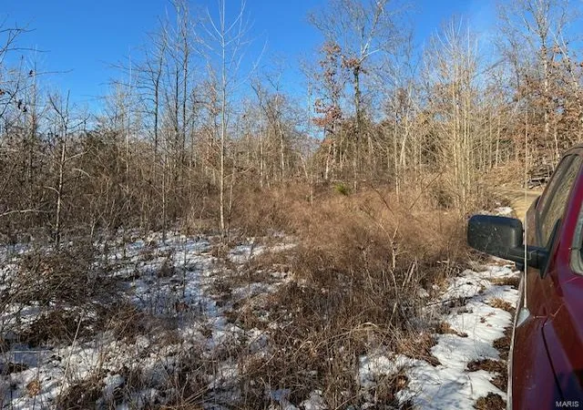 Photo 7 of Land for sale at 1 Private Rd 9516, Fredericktown, MO 63645 | MLS# 25013184 | Listing updated on 2025-03-16