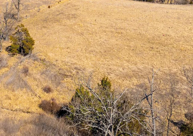 Photo 2 of Land for sale at 0 Mo 19, Hermann, MO 65041 | MLS# 25013193 | Listing updated on 2025-03-15