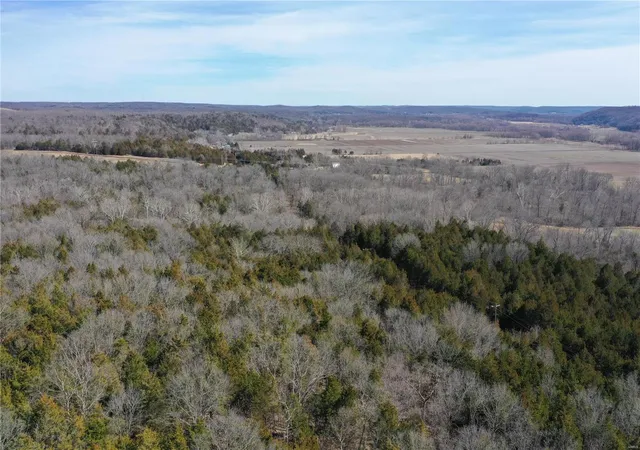 Photo 4 of Sale Pending at 0 Hwy J, New Florence, MO 63363 | MLS# 25013449 | Listing updated on 2025-03-12
