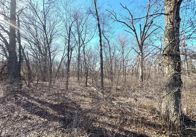 Photo 2 of Land for sale at 0 Hwy K, Hunnewell, MO 63443 | MLS# 25013646 | Listing updated on 2025-03-11