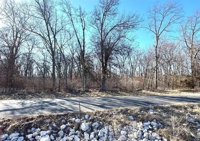Photo 7 of Land for sale at 0 Hwy K, Hunnewell, MO 63443 | MLS# 25013646 | Listing updated on 2025-03-11