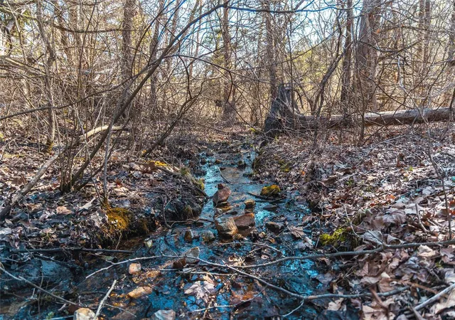 Photo 1 of Land for sale at 0 Dalton Rd, Licking, MO 65542 | MLS# 25014611 | Listing updated on 2025-03-17