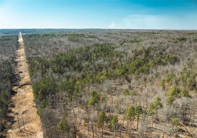 Photo 3 of Land for sale at 0 Dalton Rd, Licking, MO 65542 | MLS# 25014611 | Listing updated on 2025-03-17