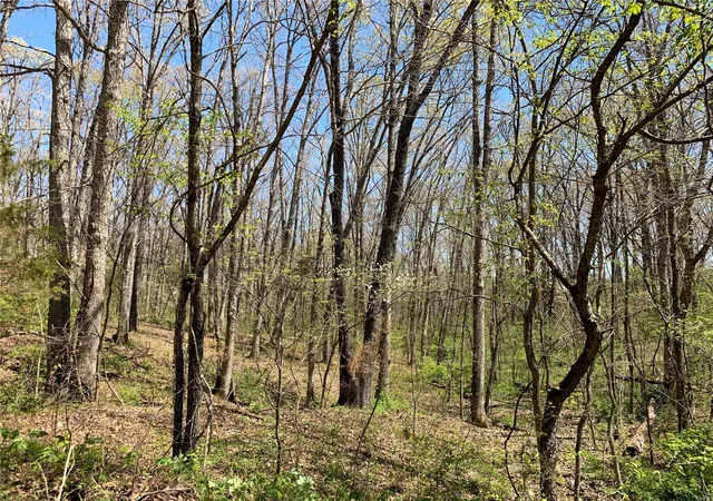Photo 3 of Land for sale at 0 Klausmeier Road, Wright City, MO 63390 | MLS# 25014811 | Listing updated on 2025-03-12