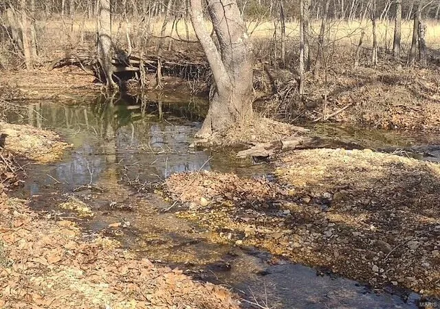 Photo 15 of Land for sale at 1571 St Luke Rd, Conway, MO 65632 | MLS# 25014813 | Listing updated on 2025-03-17