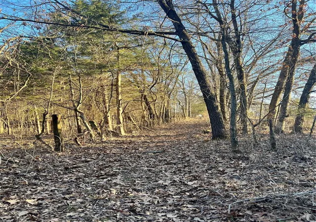 Photo 19 of Sale Pending at 0 Hwy Dd, Unincorporated, MO 63381 | MLS# 25014852 | Listing updated on 2025-03-13