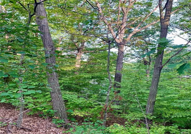 Photo 2 of Land for sale at 288 Sequoyan Ct, Canton, MO 63435 | MLS# 25014949 | Listing updated on 2025-03-18