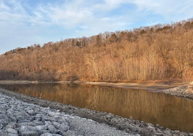 Photo 1 of Land for sale at 2 Bluffview Dr (2 Acre Tract), Center, MO 63436 | MLS# 25015121 | Listing updated on 2025-03-13