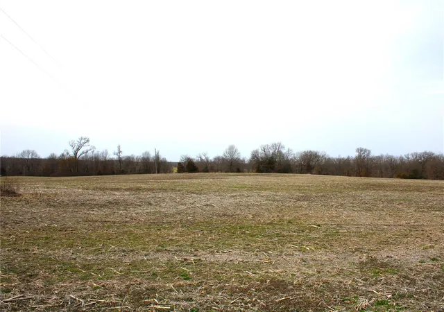Photo 1 of Land for sale at 1 Monroe Road 875, Paris, MO 65275 | MLS# 25015449 | Listing updated on 2025-03-14