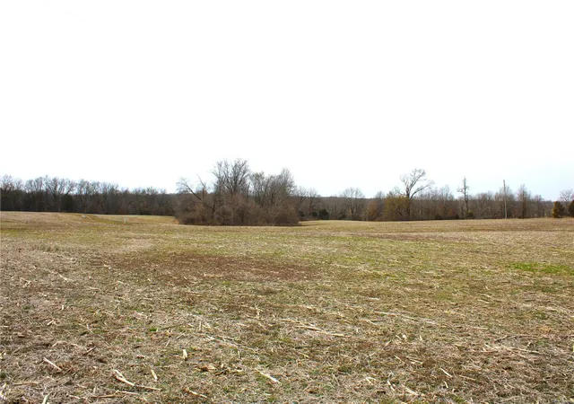 Photo 2 of Land for sale at 1 Monroe Road 875, Paris, MO 65275 | MLS# 25015449 | Listing updated on 2025-03-14