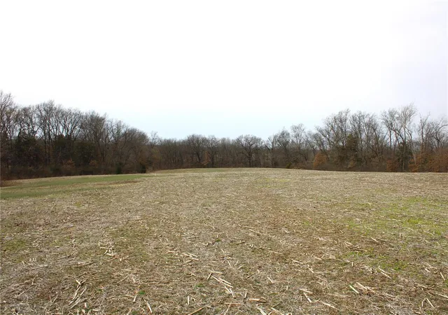 Photo 1 of Land for sale at 2 Monroe Road 875, Paris, MO 65275 | MLS# 25015451 | Listing updated on 2025-03-14