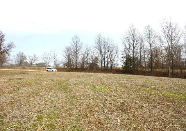 Photo 7 of Land for sale at 3 Monroe Road 875, Paris, MO 65275 | MLS# 25015457 | Listing updated on 2025-03-14