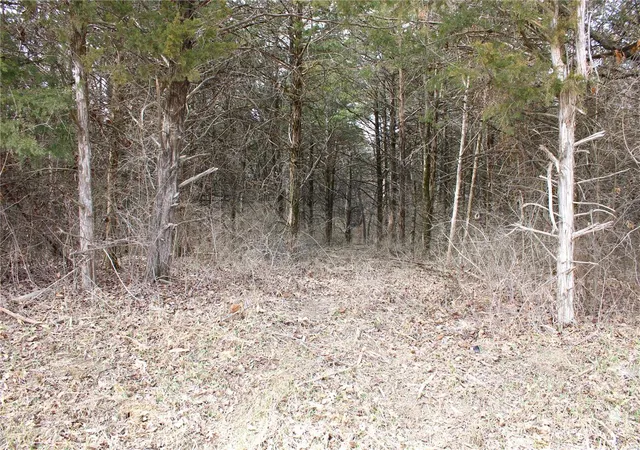 Photo 1 of Land for sale at 4 Monroe Road 875, Paris, MO 65275 | MLS# 25015461 | Listing updated on 2025-03-14