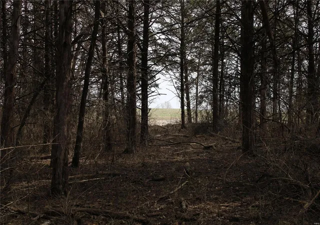 Photo 6 of Land for sale at 4 Monroe Road 875, Paris, MO 65275 | MLS# 25015461 | Listing updated on 2025-03-14