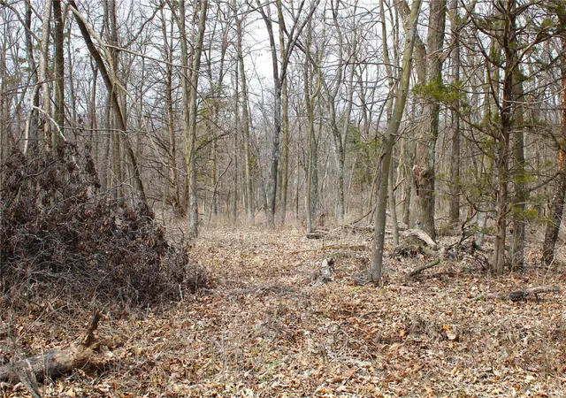 Photo 1 of Land for sale at 5 Monroe Road 875, Paris, MO 65275 | MLS# 25015466 | Listing updated on 2025-03-14